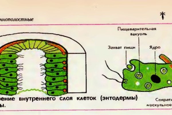 Omg omg телеграм канал